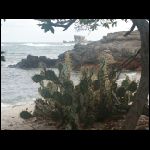 martinique_291.jpg