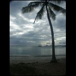 martinique_297.jpg