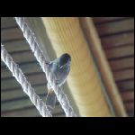 martinique_312.jpg