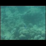 martinique_316.jpg