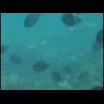 martinique_318.jpg