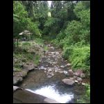 martinique_216.jpg