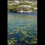norge_1713.jpg