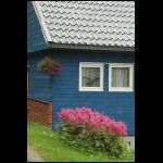 norge_0894.jpg