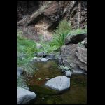 DSC_0781.jpg