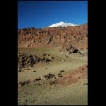 DSC_1194.jpg