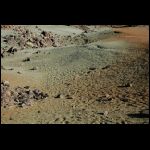 DSC_1212.jpg