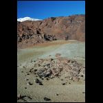 DSC_1225.jpg