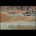 DSC_1226.jpg