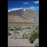 DSC_0211.jpg