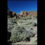 DSC_0219.jpg