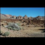 DSC_0175.jpg